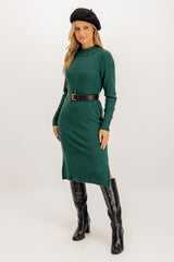 Viril Crew Neck Pine Green Knit Dress