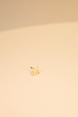 Julie Star Cuff In Gold