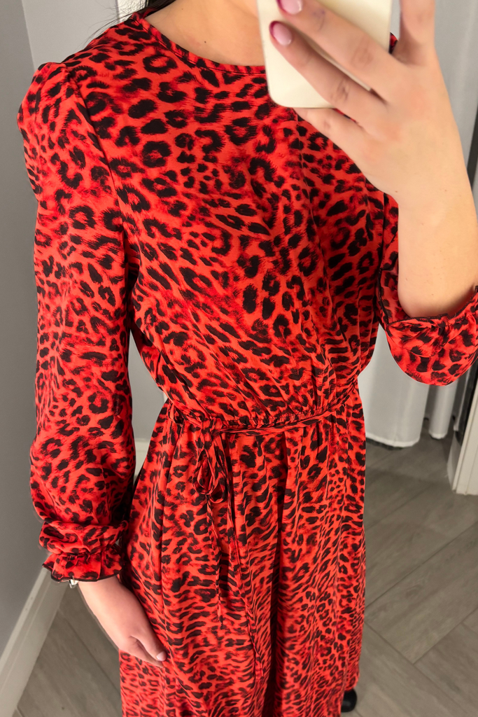 Rosalie Orange Animal Printed Midi Dress