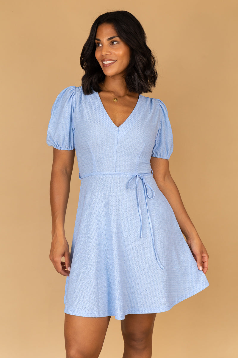 Alisa Pale Blue Skater Dress