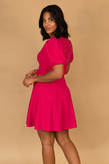 Alisa Cerise Skater Dress