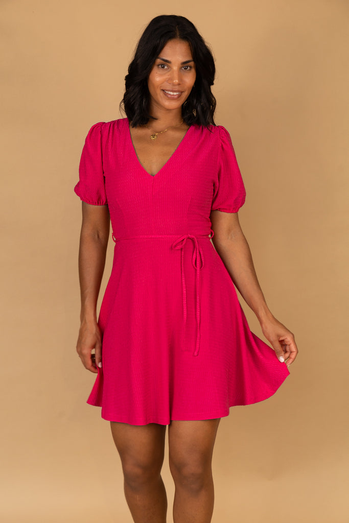 Alisa Cerise Skater Dress