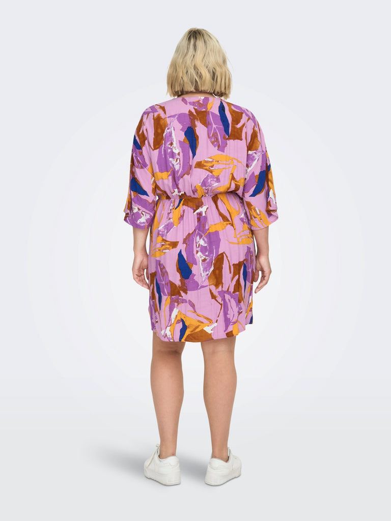 Curve Dalisa Abstract Print Dress